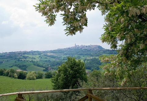 AGRITURISMO CASALE DELLE LUCREZIE - Foto 10