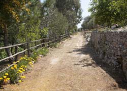 FUSARO - RESIDENZE E PAJARE IN PIETRA - Foto 12