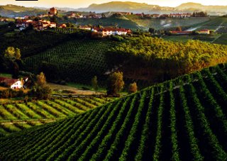 Foto HOTEL ANTICO PODERE TOTA VIRGINIA di SERRALUNGA D'ALBA