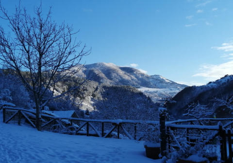 Foto B&B  IL GHIRO di MORMANNO