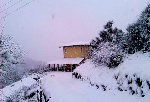 Picture of B&B  IL GHIRO of MORMANNO