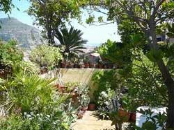 Picture of B&B LA TERRAZZA DEI PELARGONI  of VENTIMIGLIA