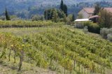 Foto AGRITURISMO PODERE DELLA CHIESA di PONTE FELCINO