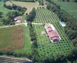 Picture of AGRITURISMO  NOVOI of MONZAMBANO