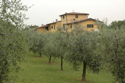 Picture of AGRITURISMO  NOVOI of MONZAMBANO