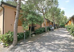 Foto VILLAGGIO CAMPING IL GINEPRINO di MARINA DI BIBBONA