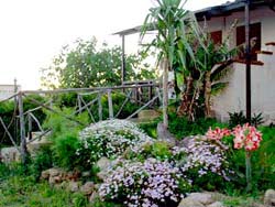 B&B VILLA MARGHERITA - Foto 9