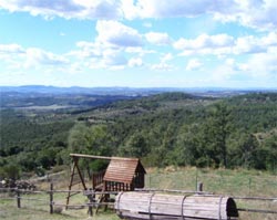 Foto AGRITURISMO PARADISO SELVAGGIO di PACIANO