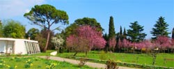 Foto B&B VILLA LUIMAS di VITTORIO VENETO