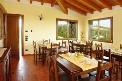 Picture of B&B  AGLI ULIVI of MANERBA DEL GARDA