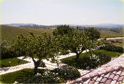 Picture of AGRITURISMO COLLE DELLE GINESTRE of MONTENERO DI BISACCIA