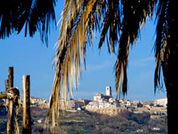 Picture of AGRITURISMO FATTORIA MARIANNA of VASTO