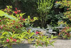 Foto HOTEL LOCANDA DEI BARONI - ANTICA DIMORA di CAMALDOLI