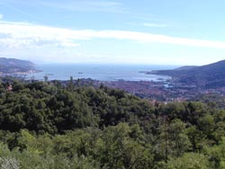 Foto HOTEL  LE RONDINI di RICCÒ DEL GOLFO