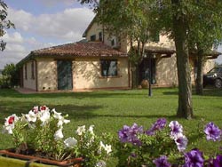 Foto AGRITURISMO IL GIRASOLE DEL TERZUOLO di SCANSANO