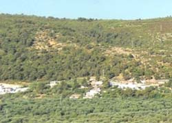 La Rosa Dei Venti - foto 25 (Colazione In Terrazza)