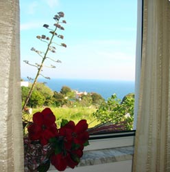 Foto HOTEL ALBERGO VILLA SERENA di VENTOTENE