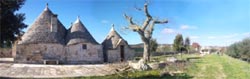 TRULLI TERRANOVA - Foto 10