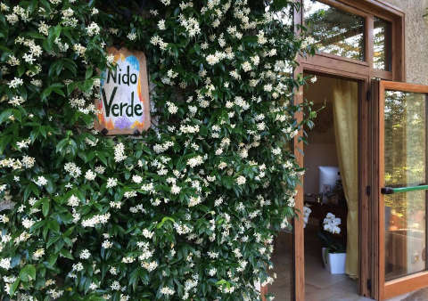 NIDO VERDE BED AND BREAKFAST - Foto 12