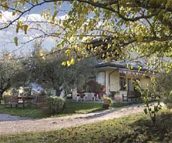 Picture of AGRITURISMO AL MANDORLO of SERRUNGARINA