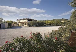 Picture of AGRITURISMO AL MANDORLO of SERRUNGARINA