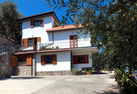 Foto B&B BED AND BREAKFAST SUNFLOWER di VICO EQUENSE