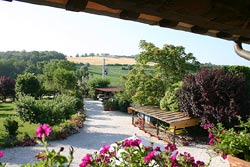 Picture of AGRITURISMO ANTICA FATTORIA DEL COLLE of DERUTA