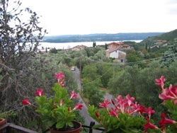 Photo B&B  DOLCESSENZA a TOSCOLANO MADERNO