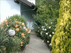 IL GIARDINO DELLE FARFALLE - Foto 10