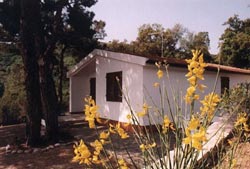 Photo CASA VACANZE APPARTAMENTI E VILLE a ISOLA D'ELBA