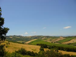 TENUTA SANT'ELISABETTA - Foto 10