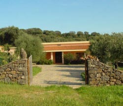 Picture of AGRITURISMO  MURISTENE of DORGALI