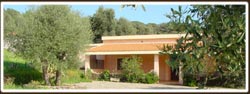 Picture of AGRITURISMO  MURISTENE of DORGALI