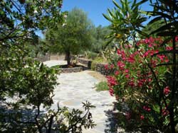 Picture of AGRITURISMO  MURISTENE of DORGALI