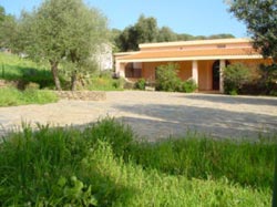 Picture of AGRITURISMO  MURISTENE of DORGALI