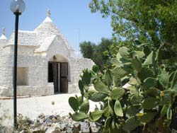 Picture of APPARTAMENTI TRULLO IL TRULLO DEL POETA of OSTUNI