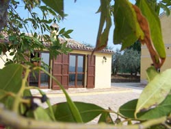 Picture of AGRITURISMO AL CREPUSCOLO of RECANATI