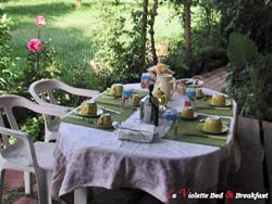 Picture of B&B  LE VIOLETTE of TORTOLÌ