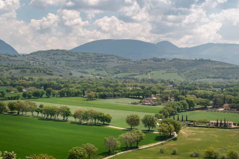 Foto APPARTAMENTI IN URBE di SPELLO