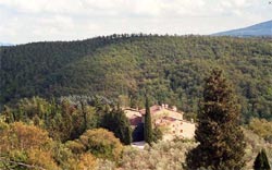 Foto AGRITURISMO  BORGO DEL SENATORE di ANGHIARI