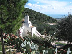 Picture of AGRITURISMO MADONNA INCORONATA of MATTINATA