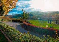 Picture of AGRITURISMO PODERI ARCANGELO of SAN GIMIGNANO