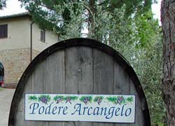 PODERI ARCANGELO - Foto 4