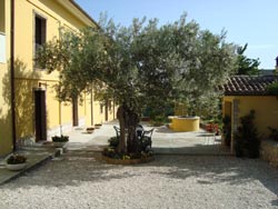 AGRITURISMO IL CASOLARE DI NONNO MARIO - Foto 2