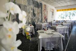 Picture of HOTEL DV  -  CONTINENTAL of SENIGALLIA