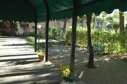 Picture of OSTELLO HOSTEL 7 SANTI of FIRENZE