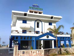 Picture of HOTEL  SEAGARDEN of ACQUAPPESA