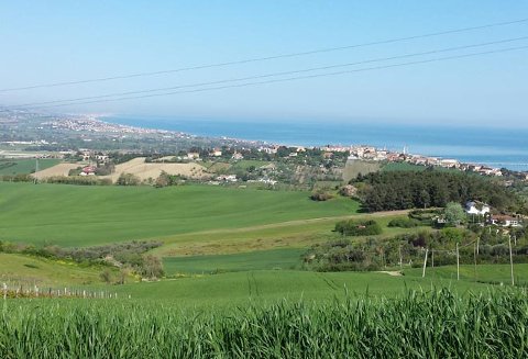 Foto B&B RESIDENZA LEONARDO di FALCONARA MARITTIMA