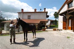 L'ANTICA SOSTA AGRITURISMO - Foto 7