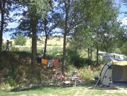 Foto AGRITURISMO  LAVANDA BLU di CARASSAI